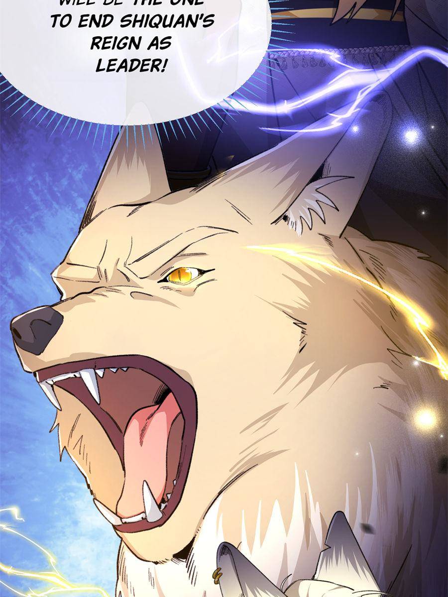 81436178 900 1200 129513